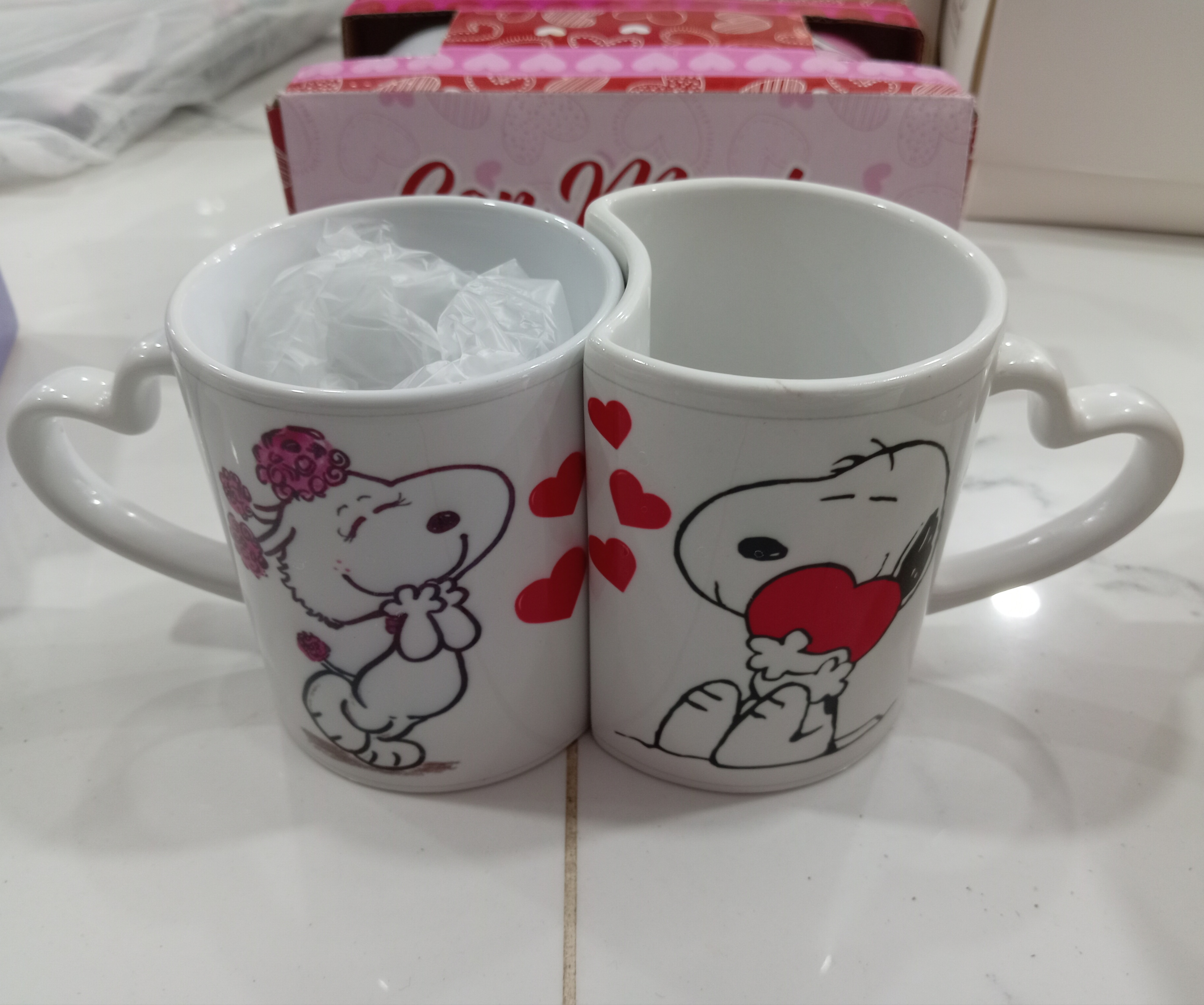 1011 Snoopy