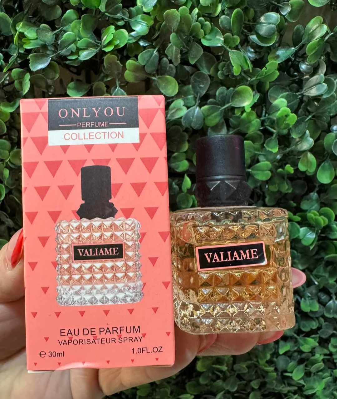 1025 Valiame melon