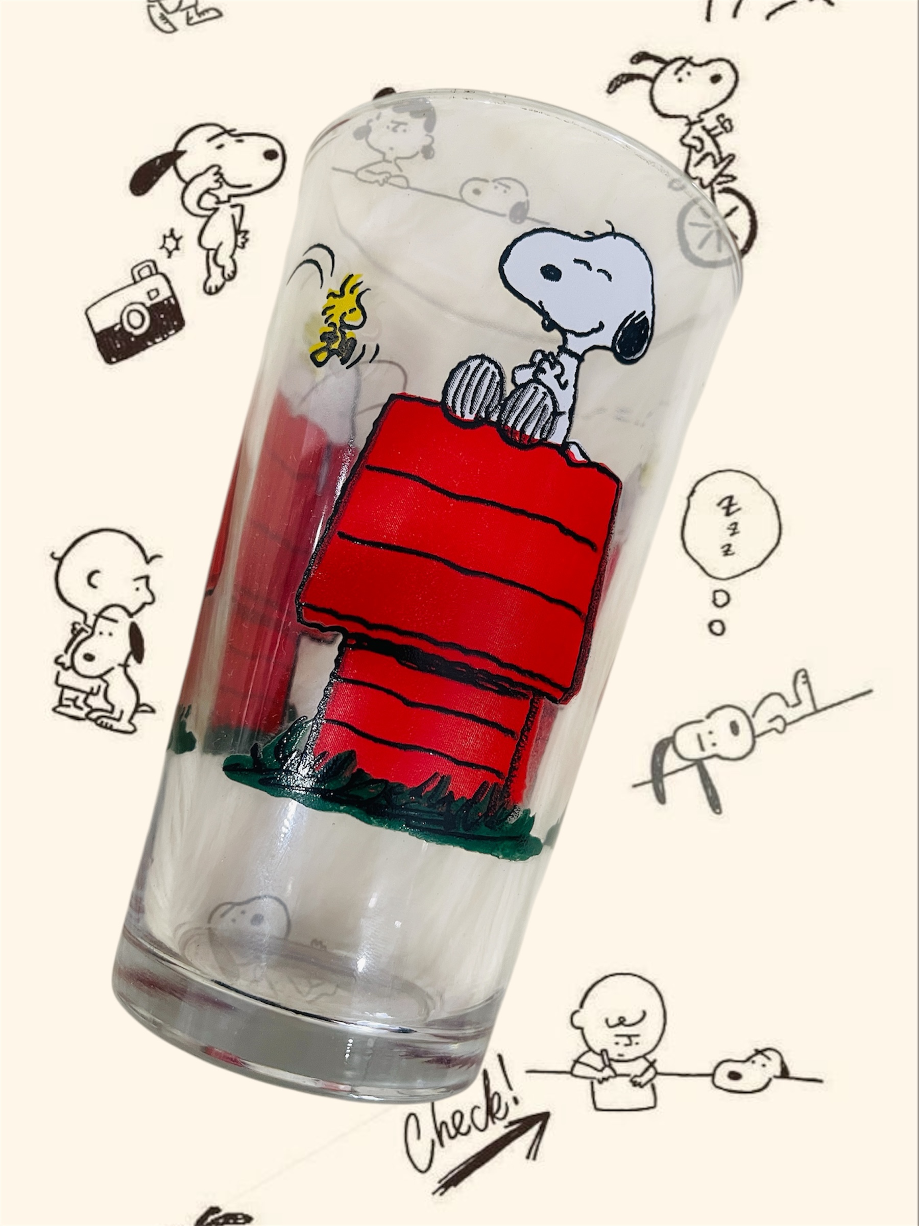 1118 Snoopy casa