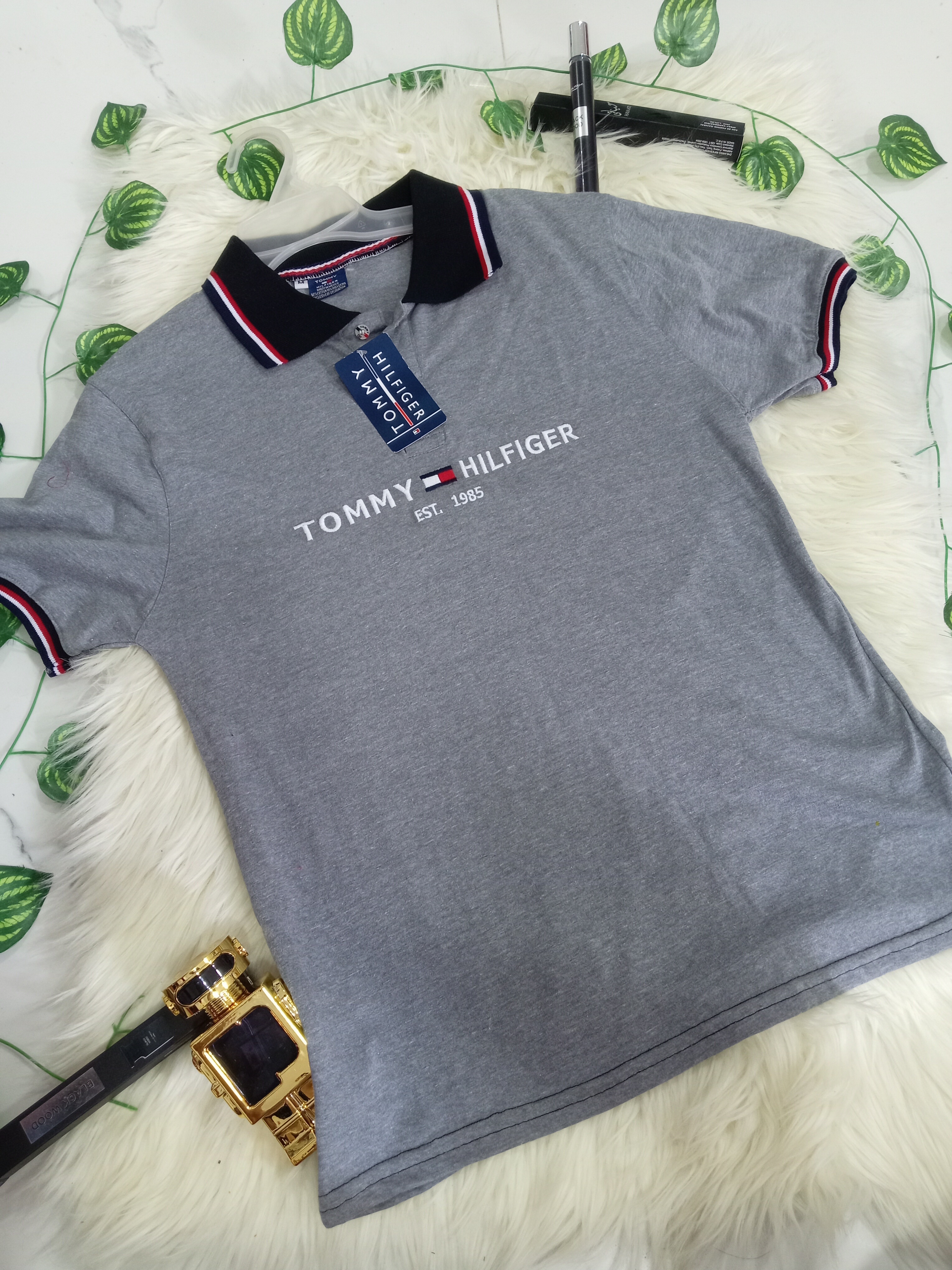1183 Tommy gris