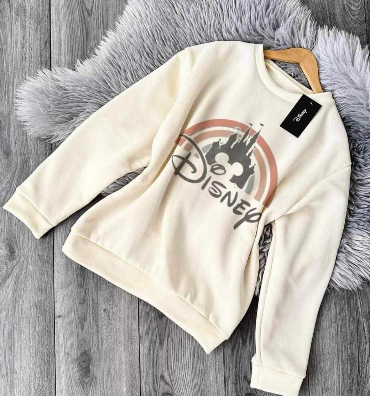 1241 Castillo Disney