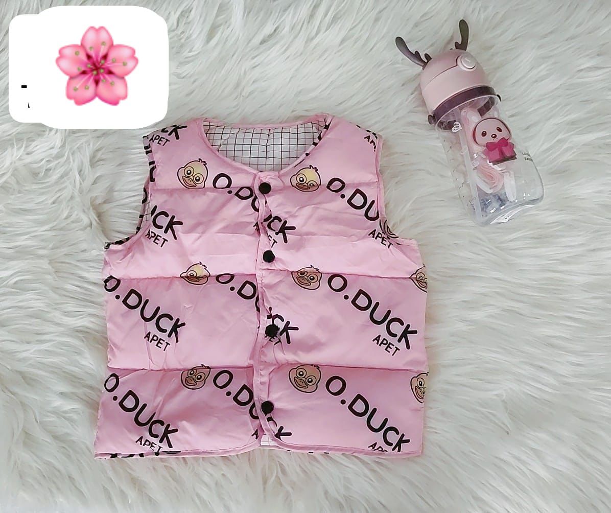 231 Rosa
