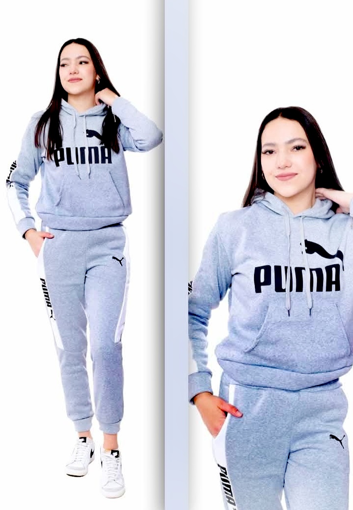 406 Puma gris