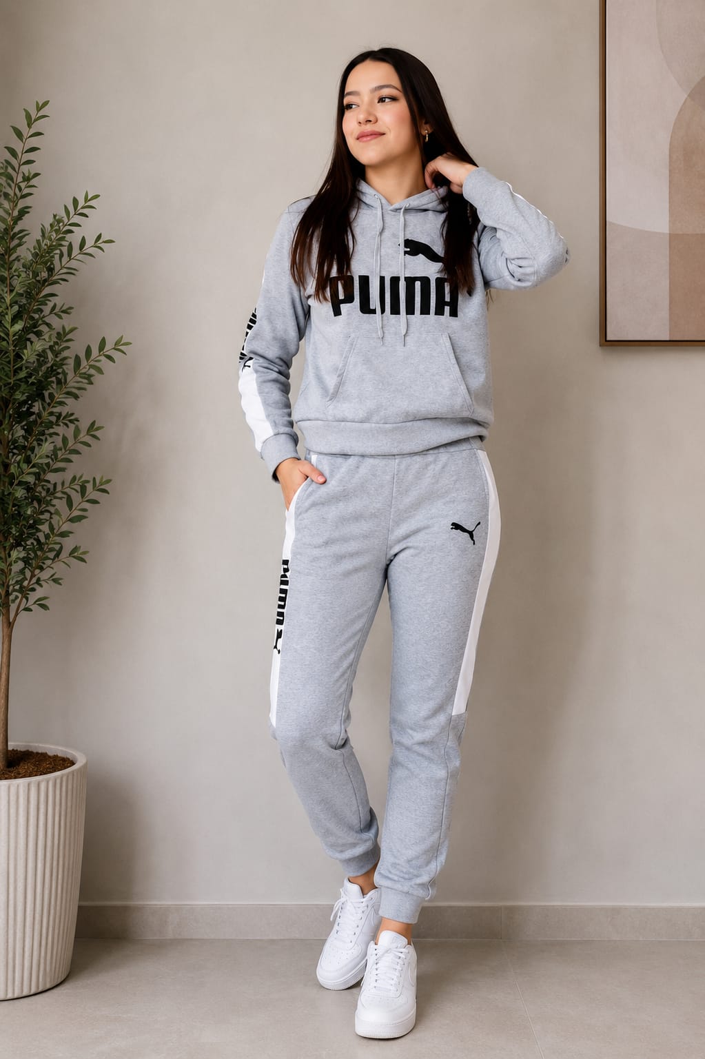 406 Puma gris