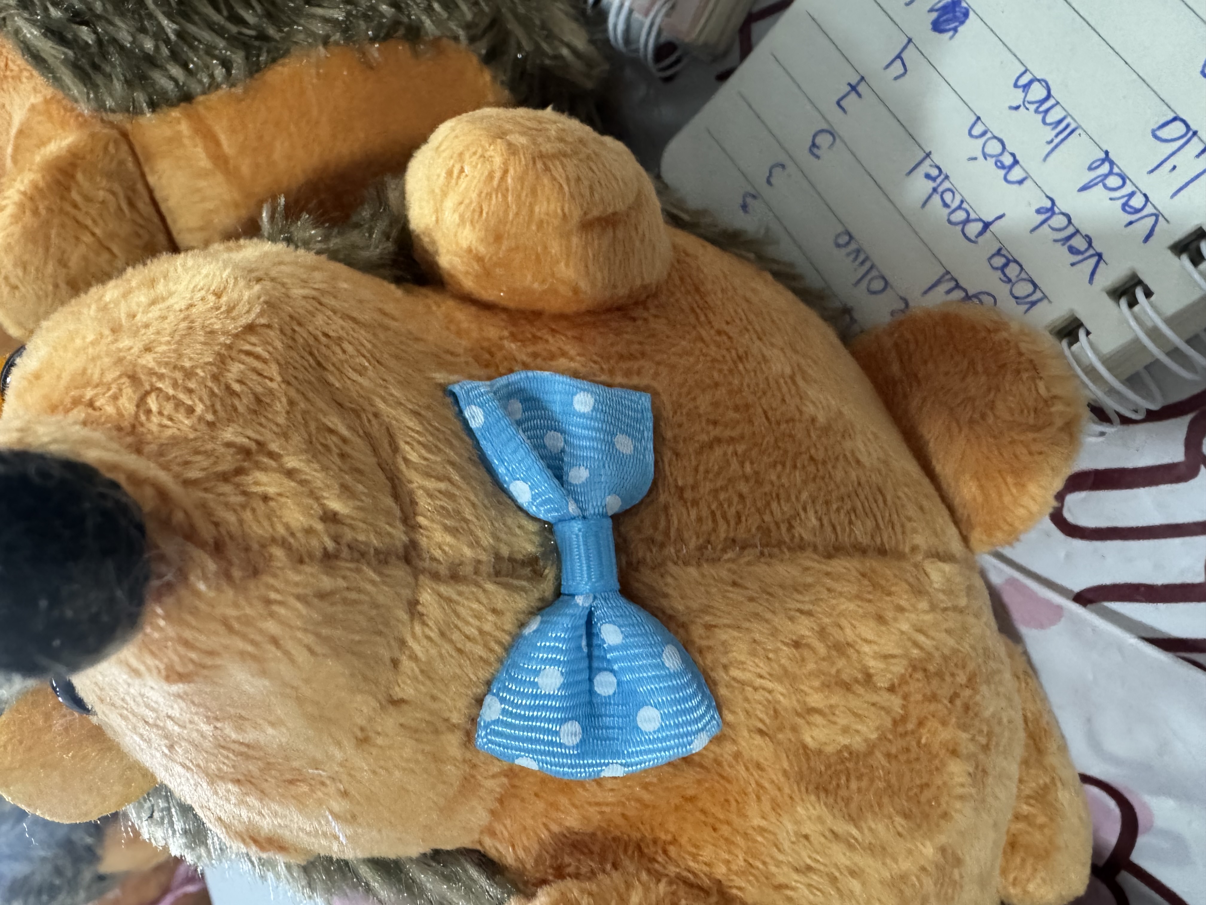 728 Moño azul