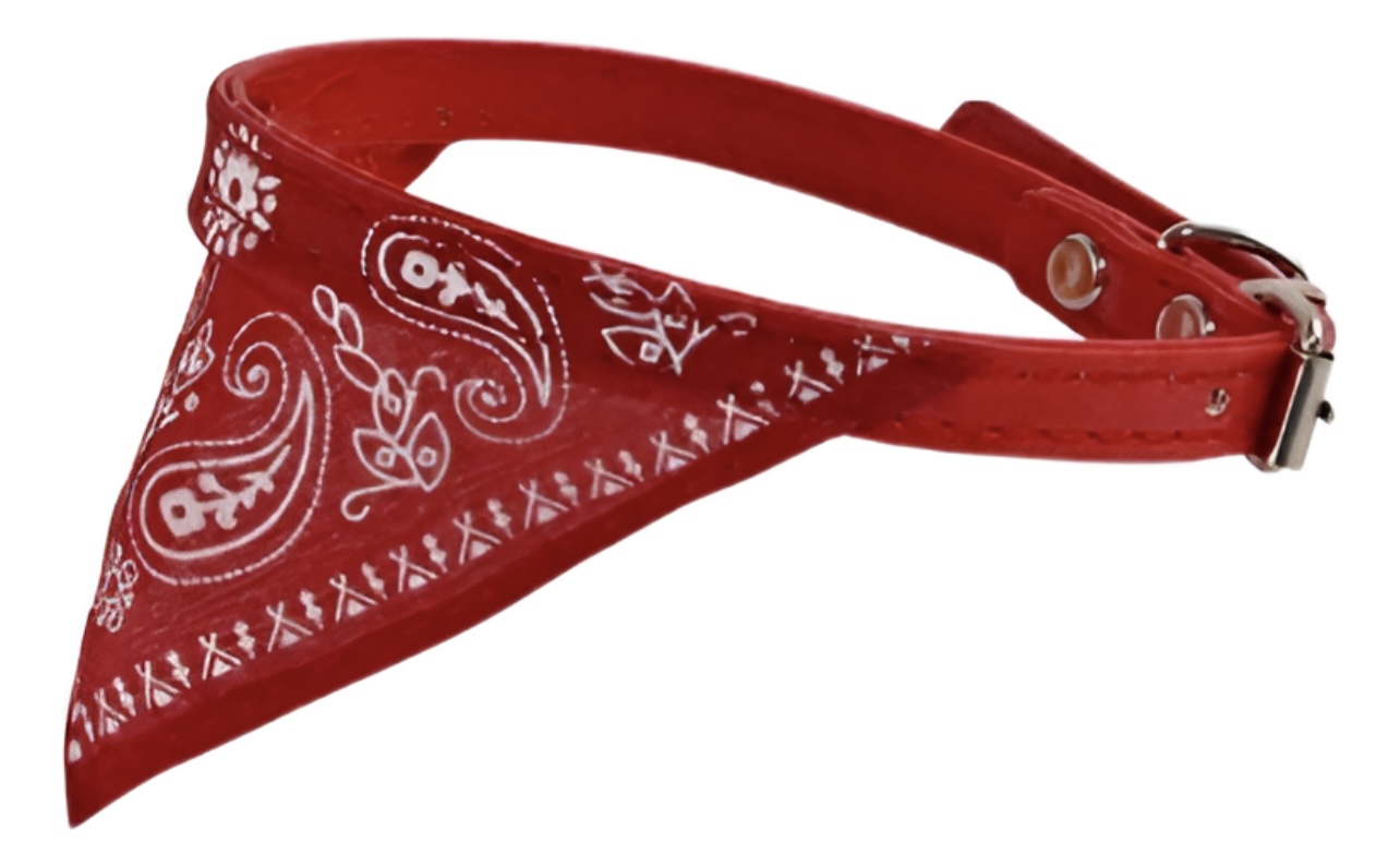 Producto 875