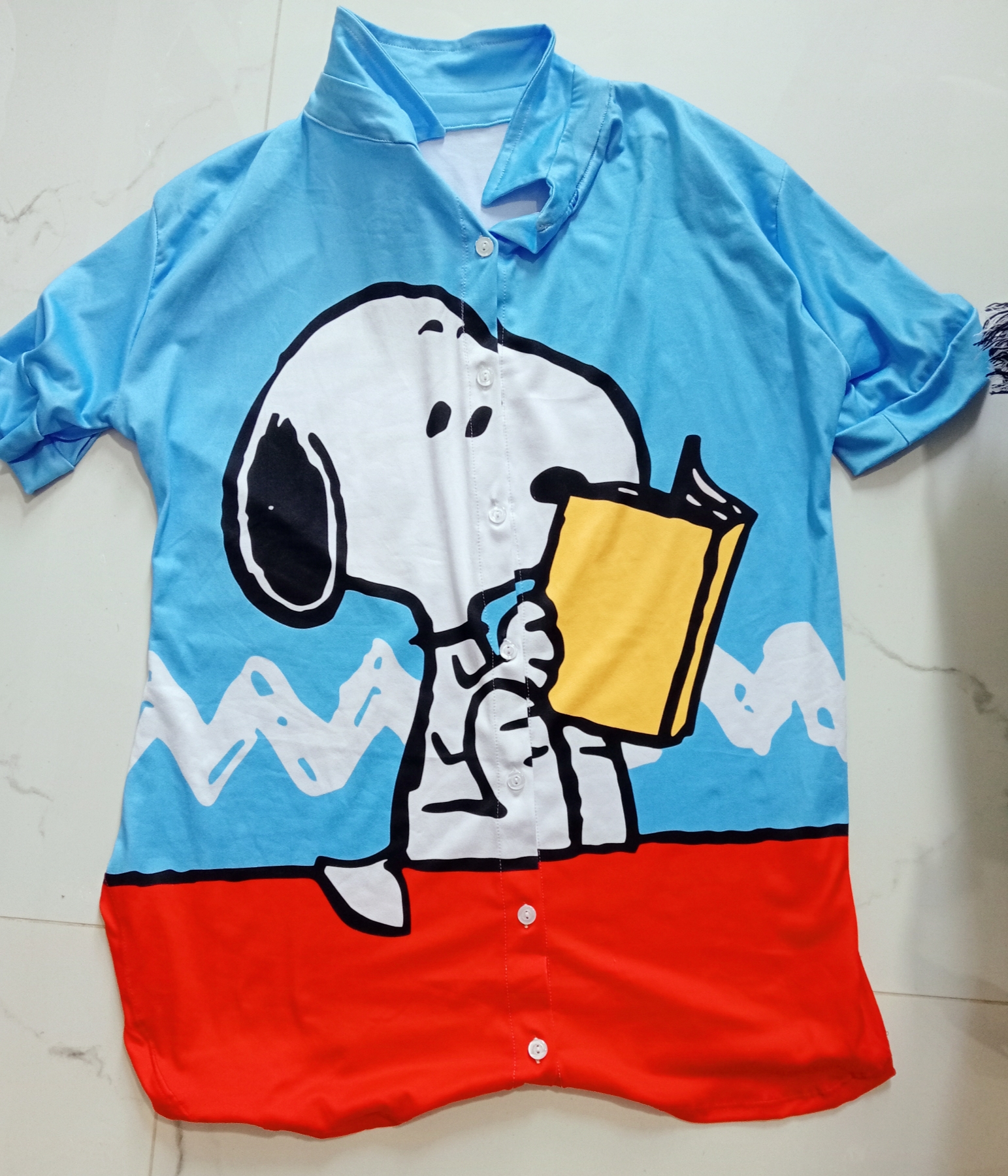 960 Snoopy